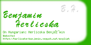 benjamin herlicska business card